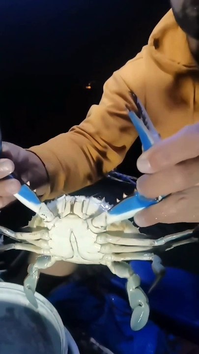 GÖRÜNCE ŞAŞKINA DÖNDÜ!