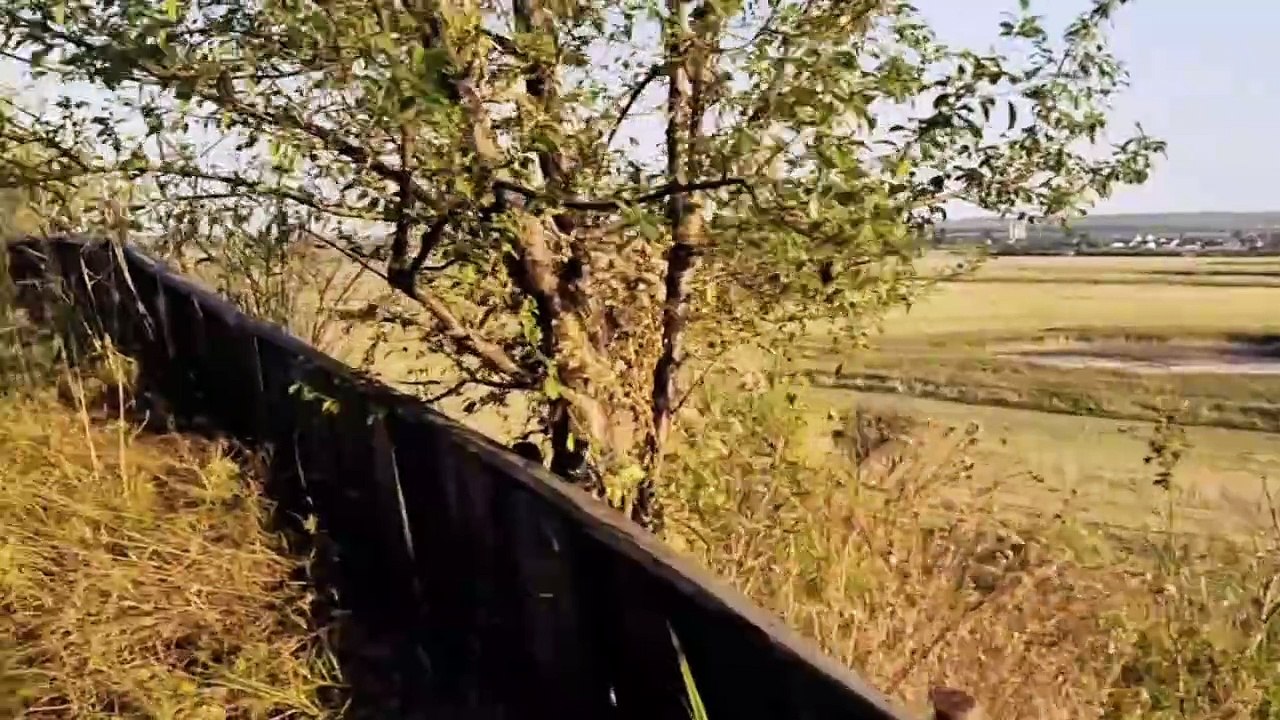 + + EINMALIGES GRUNDSTÜCK + + BERGE AM SALZIGEN SEE + + JUNG VAN HØLM + + VI