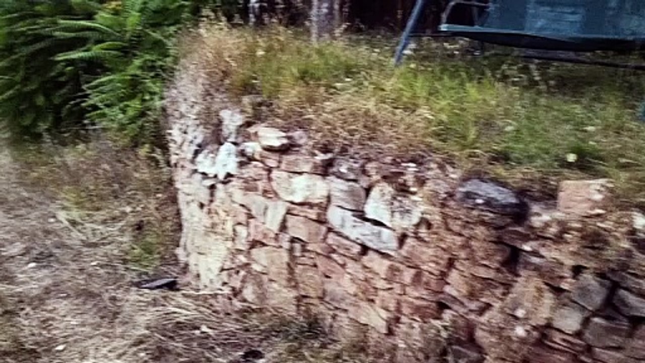 + + EINMALIGES GRUNDSTÜCK + + BERGE AM SALZIGEN SEE + + JUNG VAN HØLM + + VIII