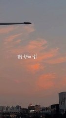 꿈의 비상, 당신의 영혼이 펼치는 무한한 가능성