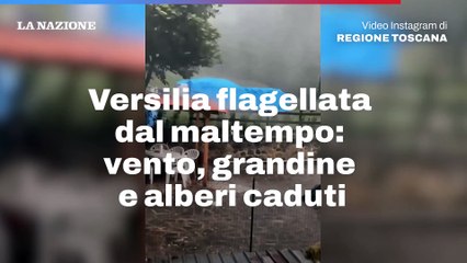 Télécharger la video: Versilia flagellata dal maltempo: vento, grandine e alberi caduti