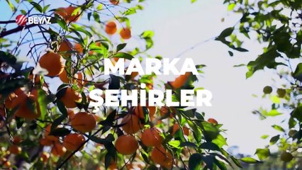 Marka Şehirler 8 Eylül 2024