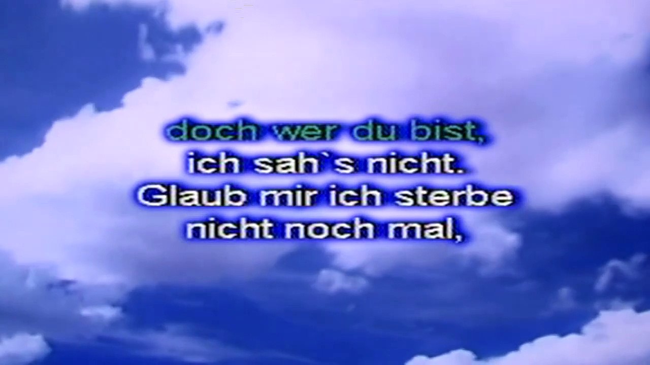 ANDREA BERG — Ich sterbe nicht noch mal