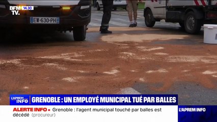 Grenoble: l’agent municipal touché par balles est mort