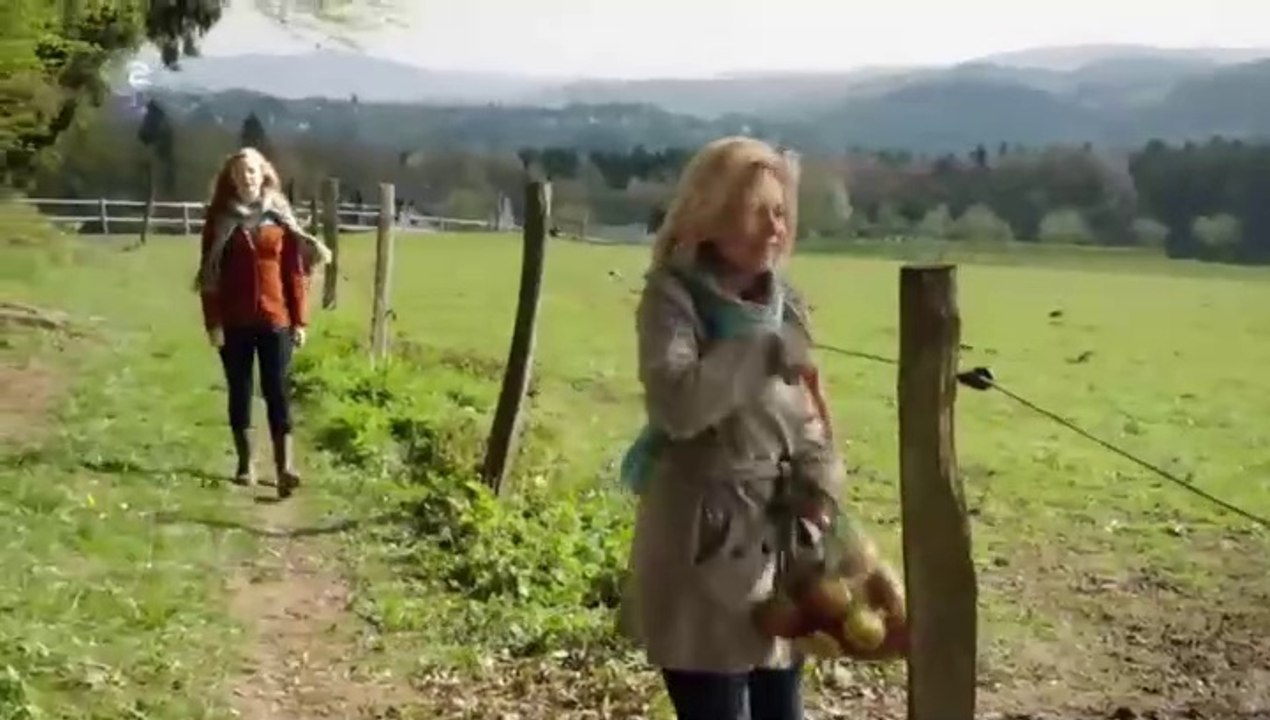 Zu schön um wahr zu sein