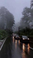 ROAD view so amazing 