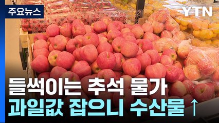 "잡을 테면 잡아 봐?"...잡으려면 도망가는 '추석 물가' / YTN