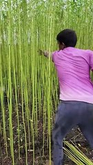 Step-by-Step Guide to Making Eco-Friendly Jute Bags 🌿