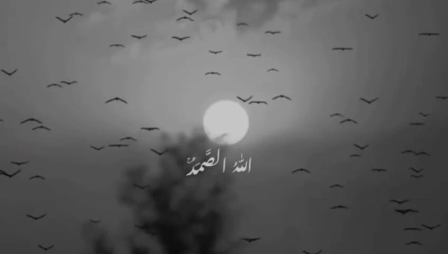 ALLAH Ne Quran Me Irshad Faryama #quran #islamicshorts #hadees #foryou #islam #ALLAH #islamicthoughts