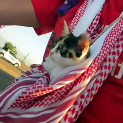 Voyage à vélo de Paris à La Mecque : Un homme adopte un chaton errant rencontré en chemin