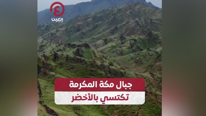 جبال مكة المكرمة تكتسي بالأخضر