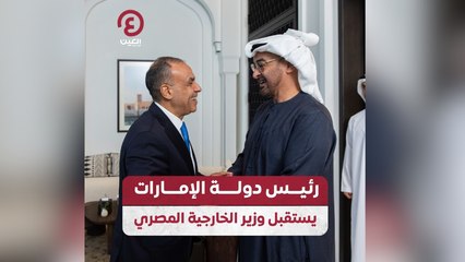 رئيس دولة الإمارات يستقبل وزير الخارجية المصري