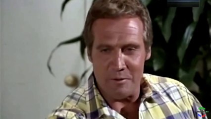 Profesion Peligro 2X1: Acción Retro de los 80 con Lee Majors 🎬