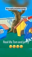 When Reality Meets Anime: Tom and Jerry's Wild Adventure #tom&Jerry #cartoon #funnytom