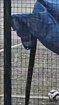 Maltempo, violenta grandinata a Capezzano Pianore