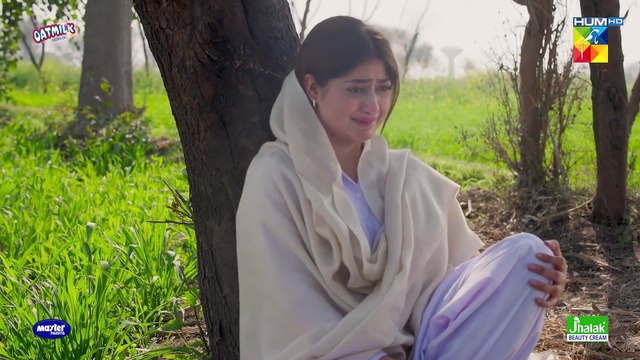 Zard Patton Ka Bunn - Ep 18 [CC] - 8th Sep 24 - Sponsor By Gofy, Master Paints _ Jhalak Beauty Cream