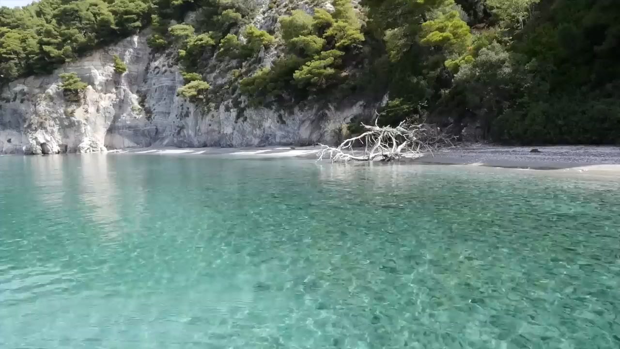 real view