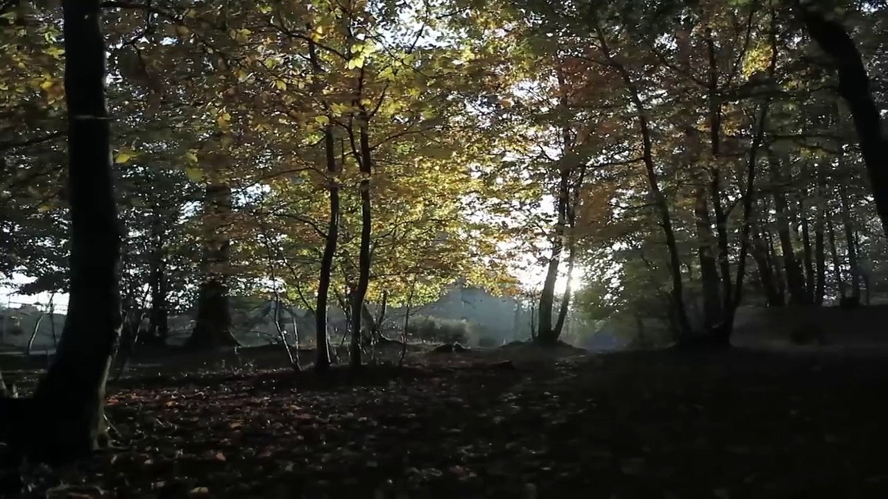 Cathédrales dans l Histoire _ Lieux de Conspirations, Terreur et Manipulations - Documentaire - MG