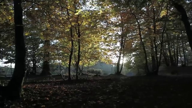 Cathédrales dans l Histoire _ Lieux de Conspirations, Terreur et Manipulations - Documentaire - MG