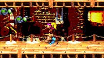 Donkey Kong Country 3: Dixie Kong's Double Trouble! Pt.2