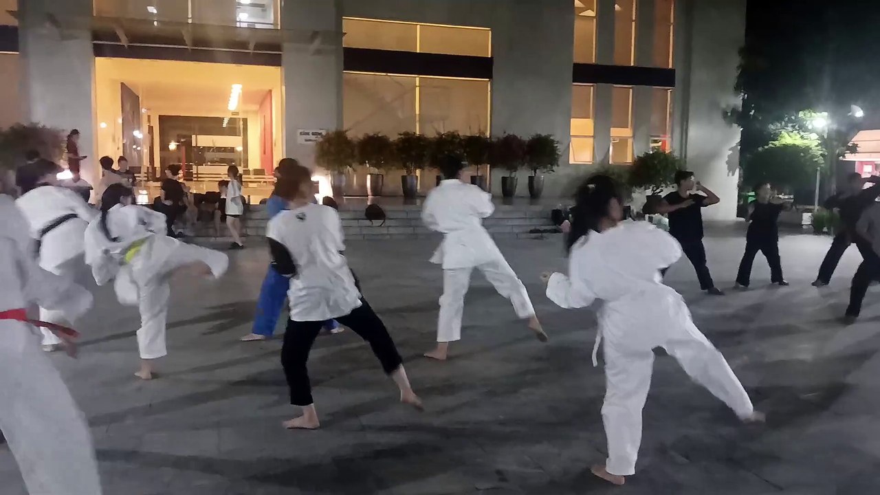 Taekwondo , tkd 20240822_191501