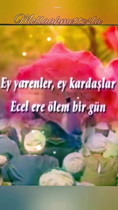 UNUTULUP KALAM BİR GÜN