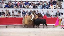 arles corrida valverde 8-9-2024