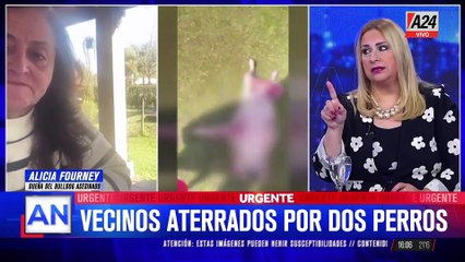 DOS PITBULLS MATARON AL PERRO BULLDOG DE UNA VECINA EN UN BARRIO CERRADO