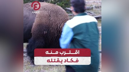 سائح يقترب بشكل خطير من بيسون في حديقة يلوستون الوطنية 🐻 - thumbnail