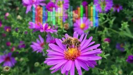 Resumen del Rumpy  semana 25