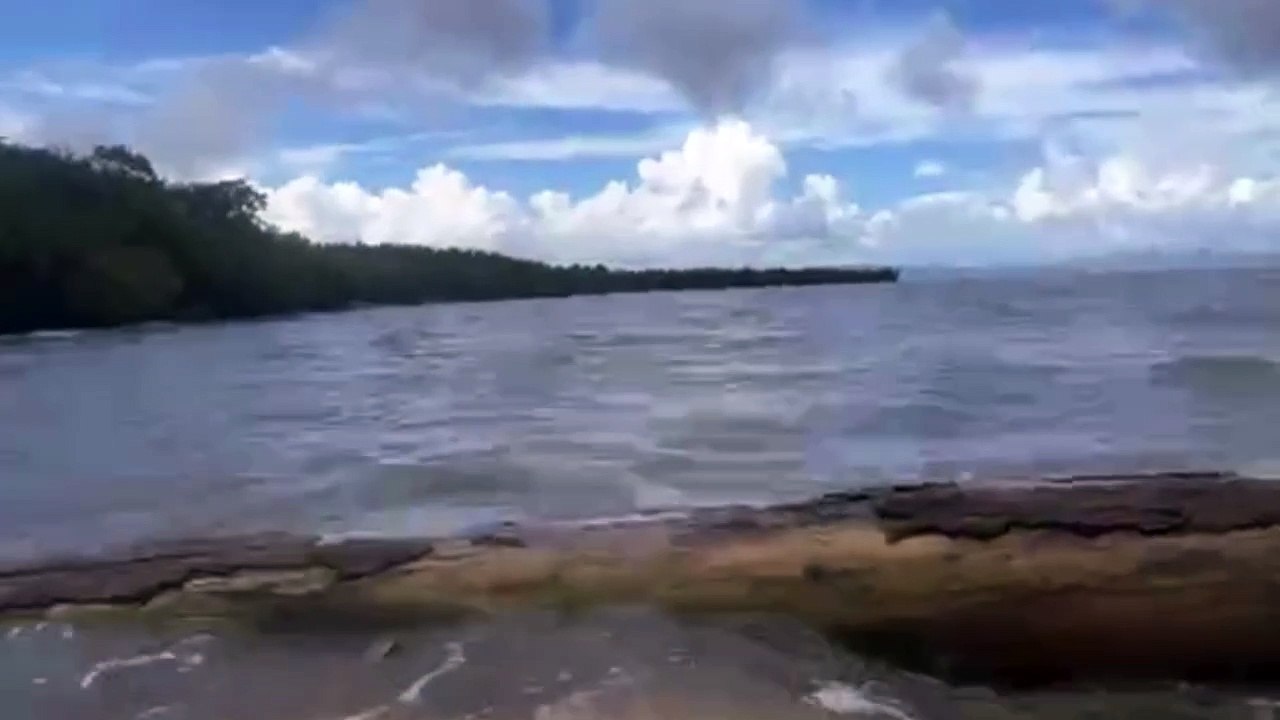 Encuentran tiburón muerto en Sabana de la Mar