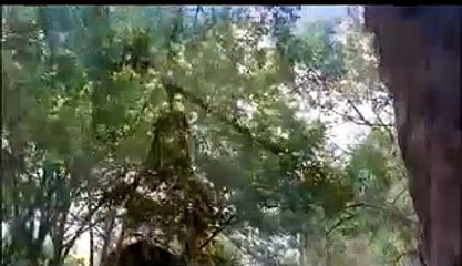 Broken Path (Bloody Version) - Official Trailer