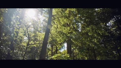 Alicia en el país de las pesadillas . La Película 2024