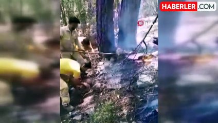 Kumluca'da 15 hektar ormanlık alan yangında zarar gördü