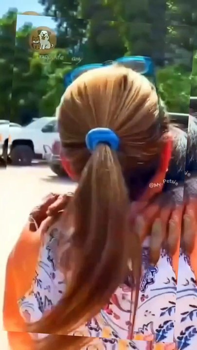 Que hermosos y cariñosos animalitos