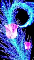 انتہائی خوبصورت اور دلکش دعا درگاہ رب العالمین