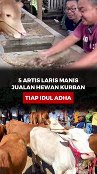 5 Artis Laris Manis Jualan Hewan Kurban Tiap Idul Adha