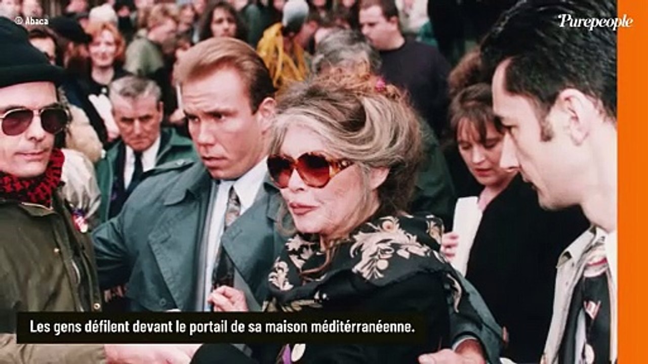 Brigitte Bardot jamais tranquille, son cocon tropézien envahi : "C'est un vrai supplice"