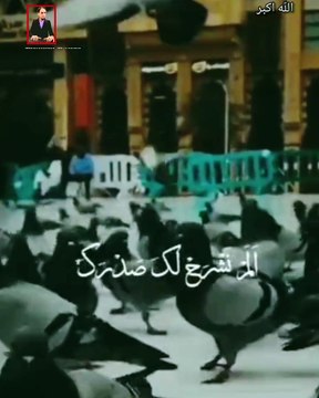 یا رب العالمین ہم سب کو حرمین شریفین اور-روضہ رسول کی زیارت نصیب فرما آمین يارب العالمين