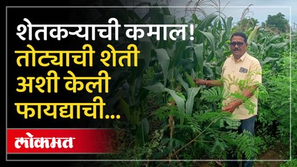 या शेतकऱ्यासारखी शेती कराल तर होईल फायदाच फायदा...