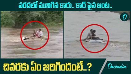 Gujarat Floods.. వరదల్లో చిక్కుకుని  కార్ పైనే ధైర్యంగా ఆ జంట | Oneindia Telugu