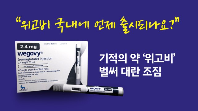 위고비 국내에 언제 들어오나요? ...기적의 다이어트 약 '위고비', 벌써 대란 조짐 [앵커리포트] / YTN