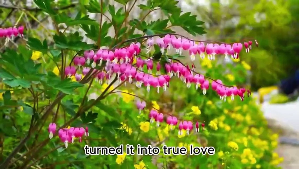 ❤️Die Liebe❤️