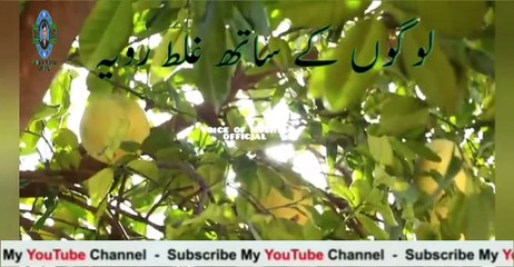 19-Covering caregivers questions about vaccine thr