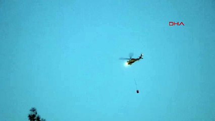 Muğla'da orman yangını sürüyor