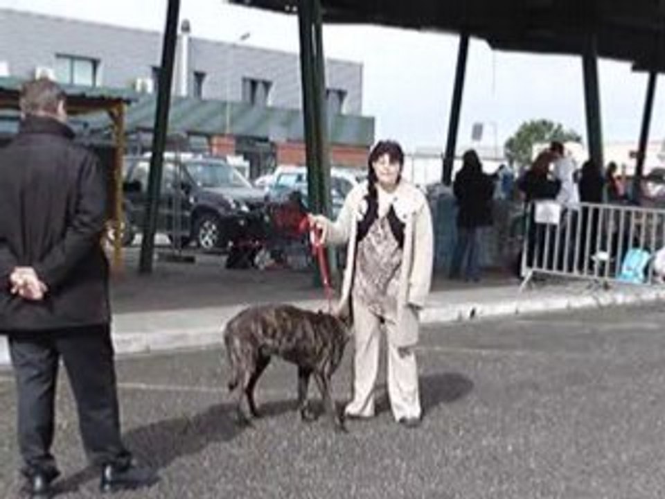 MOV07103