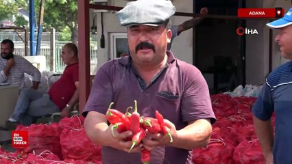 Adana’da salça sezonu başladı, damlar kırmızıya boyandı