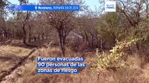 Un devastador incendio arrasa con casas y campos en el norte de Rumanía