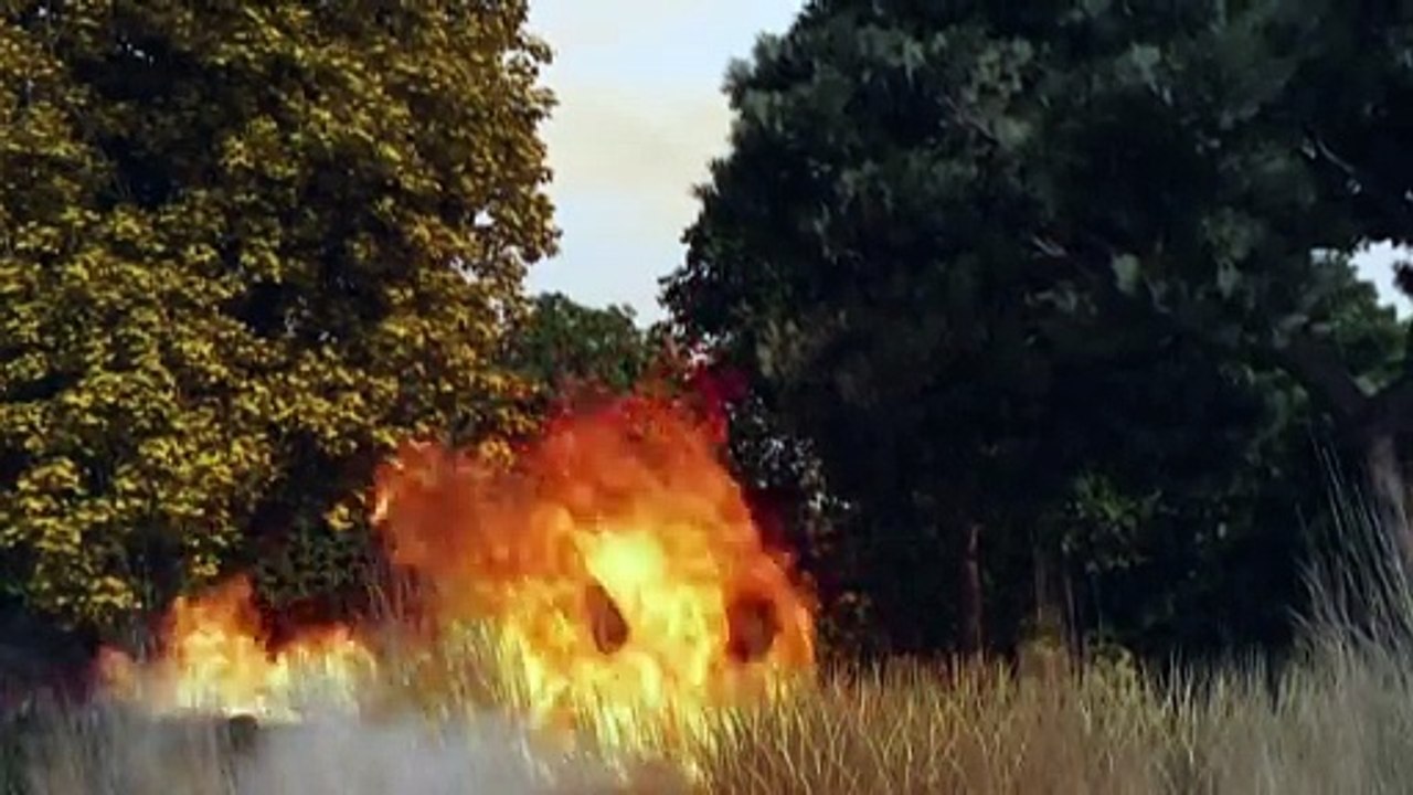 Videografik: So werden Waldbrände bekämpft