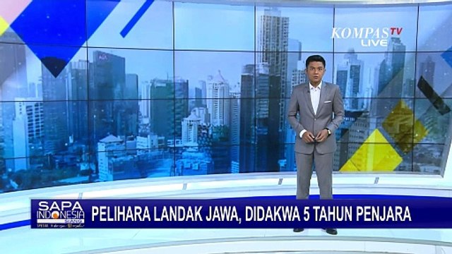 Pelihara Landak Jawa, Warga Badung Bali Didakwa Lima Tahun Penjara